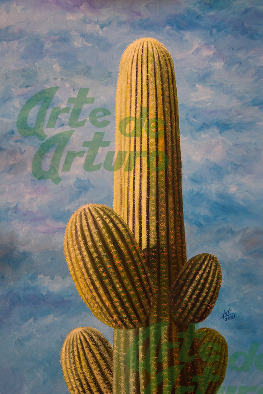 Cactus feliz